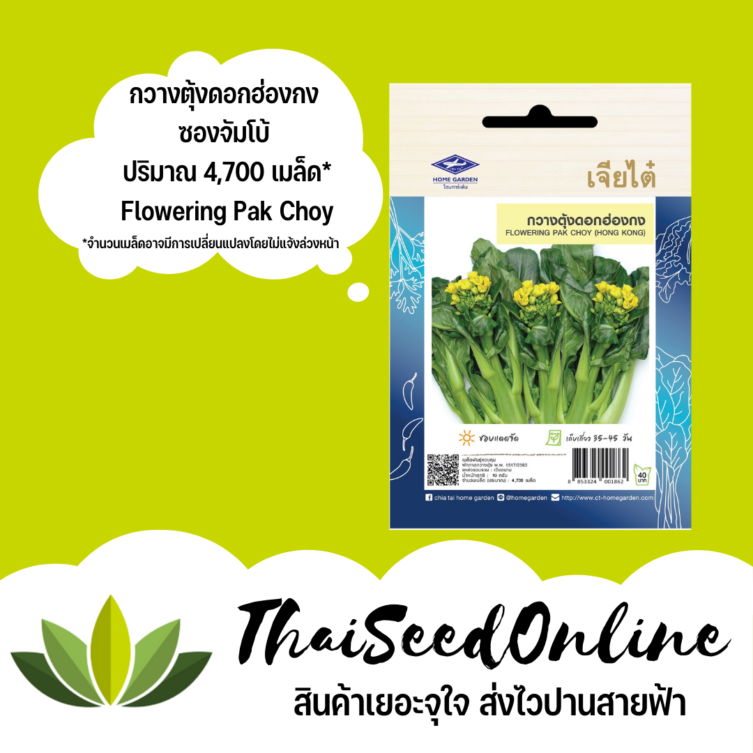เมล็ดพันธุ์ กวางตุ้งดอกฮ่องกง ซองจัมโบ้ เพิ่มปริมาณมากกว่า 3 เท่า!ตราเจียไต๋