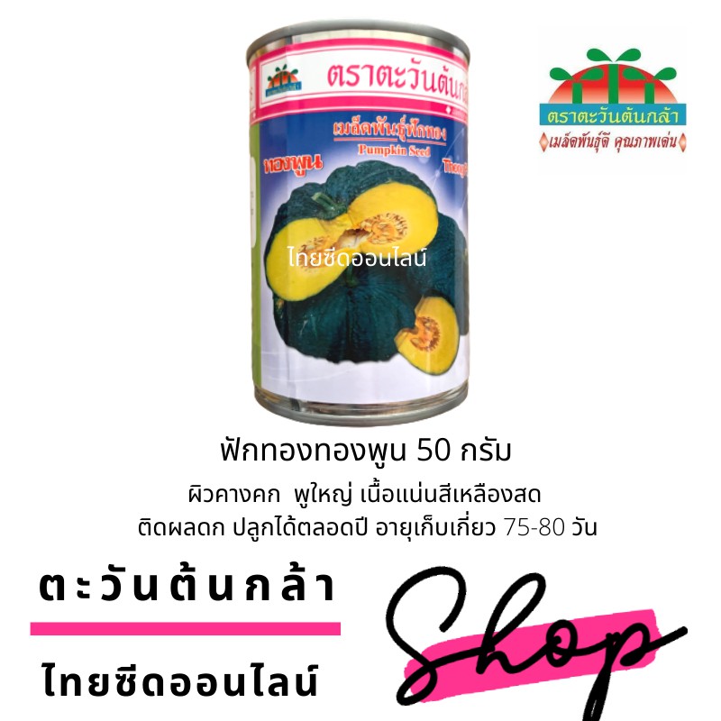 ADV กป 50กรัม เมล็ดพันธุ์ ฟักทอง ทองพูน ฟักทองผิวคางคก ตราตะวันต้นกล้า
