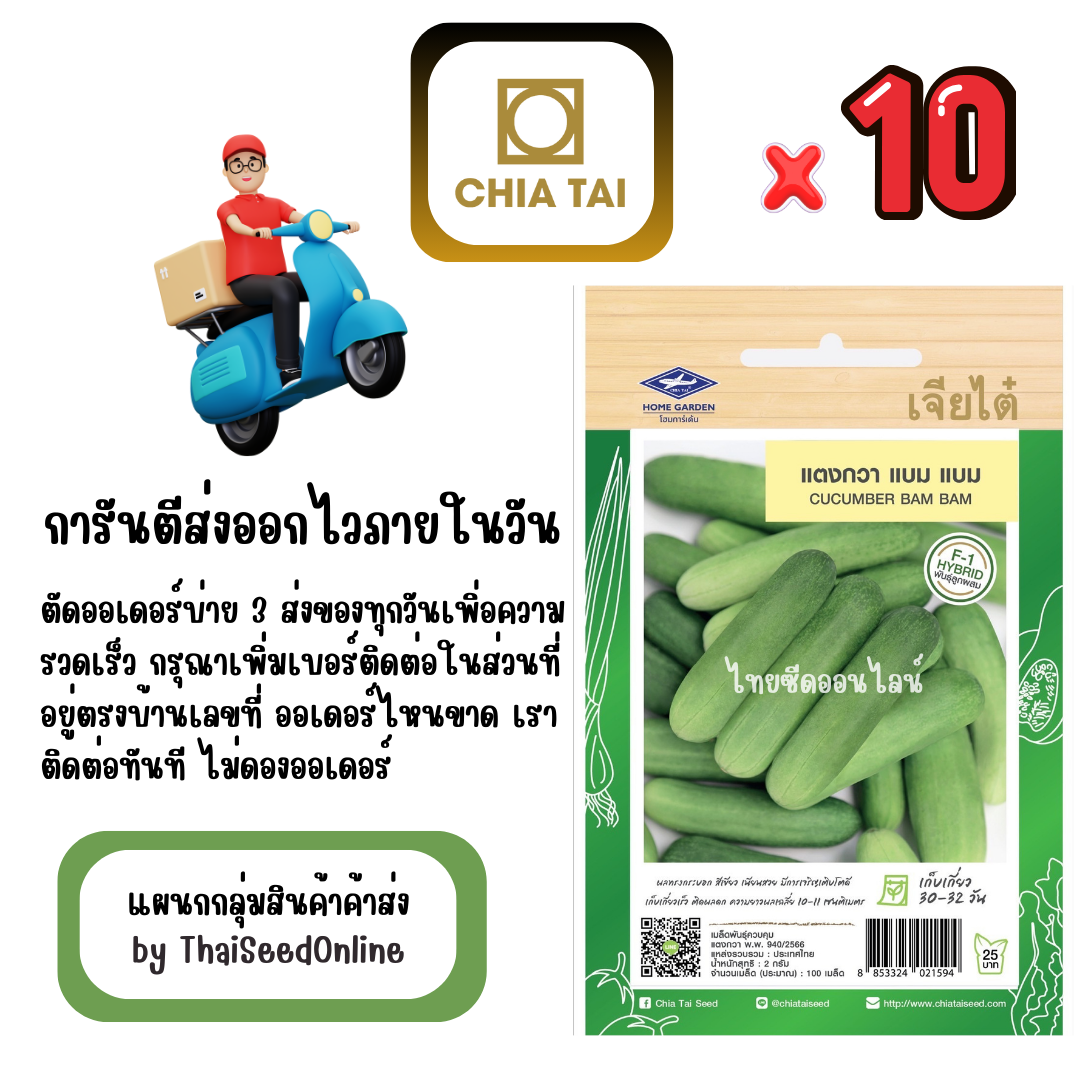 CTF1 x 10 เมล็ดผักซองเจียไต๋ แตงกวา แบม แบม สินค้ายกแพ็ค