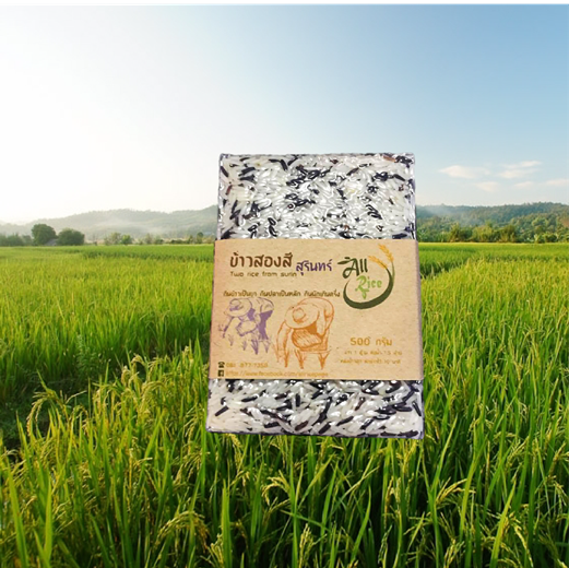 ข้าวสองสีสุรินทร์ 500 กรัม