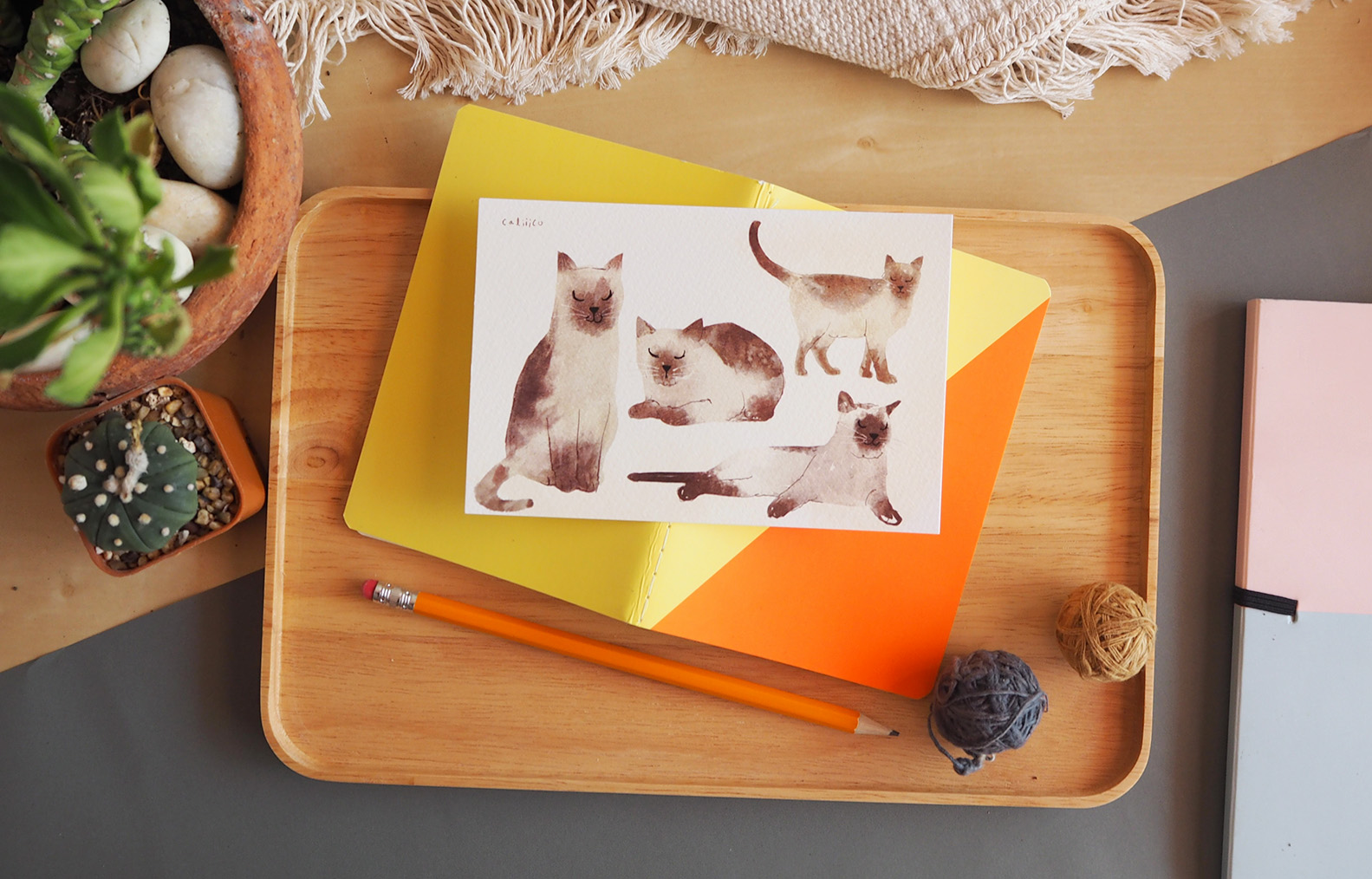 โปสการ์ด ลายA lot of Siam Cats illustration postcard 4x6 inch