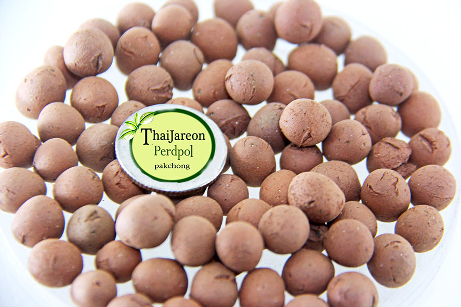 Popper / Pebbles ป็อบเปอร์ วัสดุดินเผา เม็ดดินเผา มวลเบา สำหรับ ปลูกพืช size"L" บรรจุ 1 กิโลกรัม