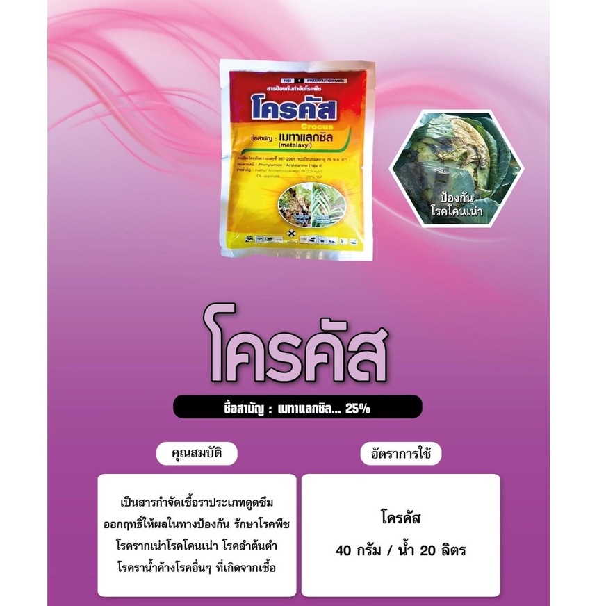 เมทาแล็กซิล 100 กรัม รักษารากเน่า โคนเน่า เมทาแลกซิล