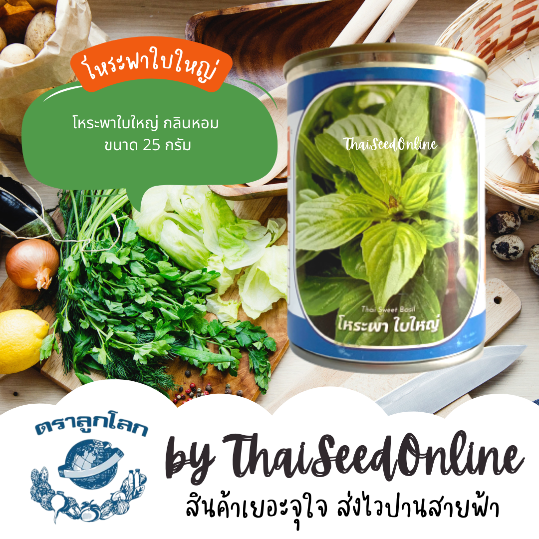 NTC เมล็ดพันธุ์ กป โหระพาใบใหญ่ 25 กรัม ตราลูกโลก