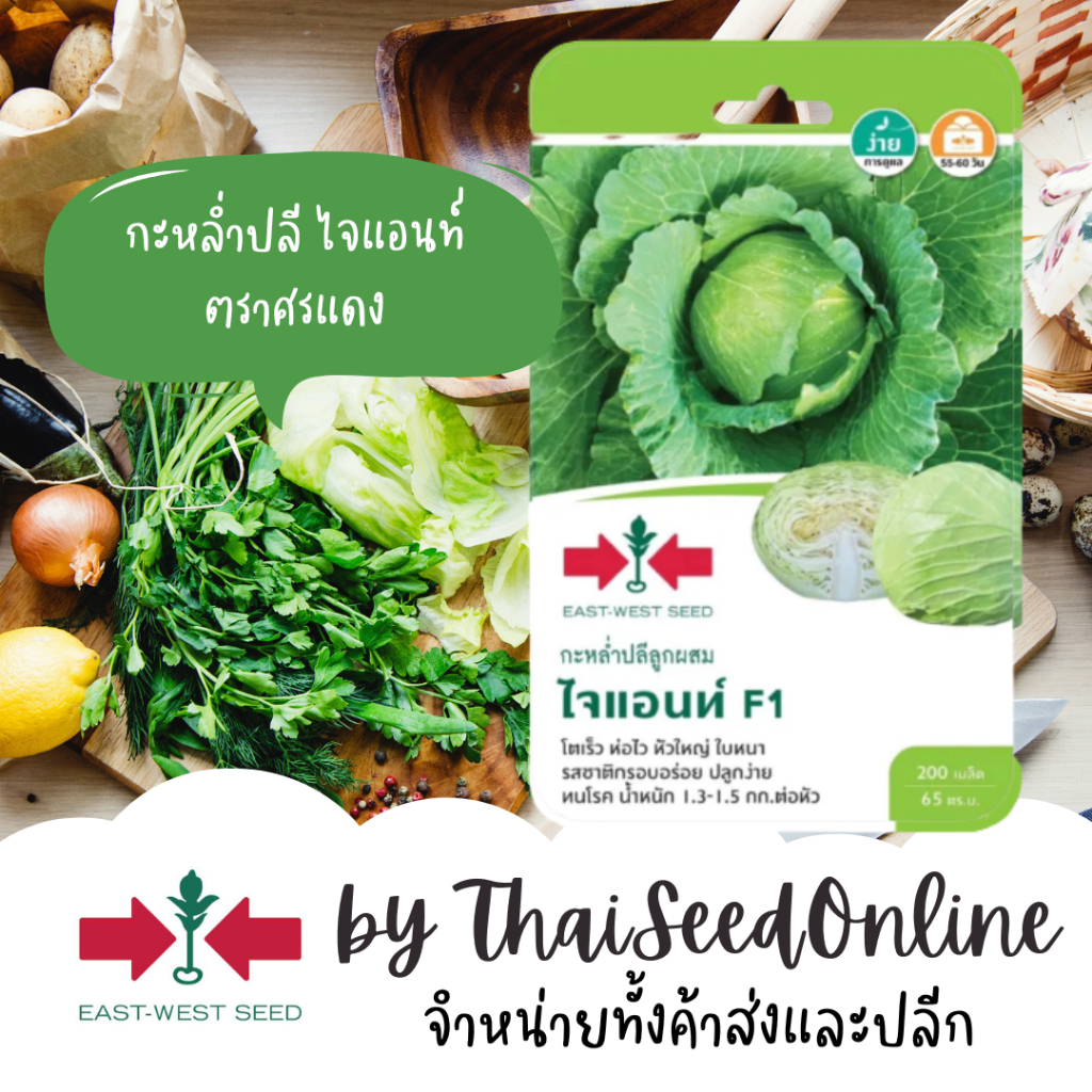 Sorndang(ศรแดง) Sorndang(ศรแดง) GGEW กะหล่ำปลี ไจแอนท์ ตราศรแดง Cabbage