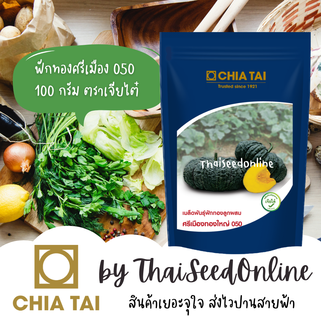 CTCOM 100g เมล็ดพันธุ์ ฟักทองลูกผสม ฟักทองศรีเมืองทองใหญ่050 ศรีเมือง050