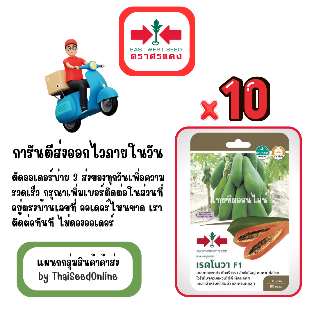 GGx10 เมล็ดผักซองศรแดง เรดโนว่า มะละกอ สินค้ายกแพ็ค