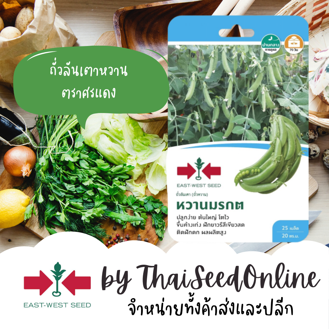 GGEW เมล็ดพันธุ์ซฟ ถั่วลันเตา (หวาน) หวานมรกต ตราศรแดง 豌豆