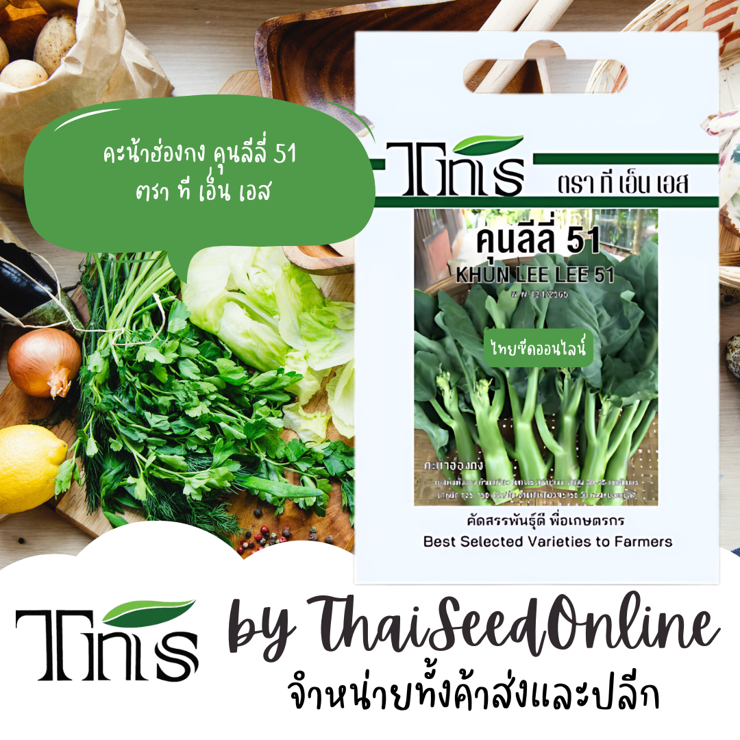 TNS(ทีเอ็นเอส) TNS เมล็ดพันธุ์แบบซองเล็ก คะน้าฮ่องกง คุณลีลี่51 ตรา ที เอ็น TNS Chinese Kale (Big Stem)