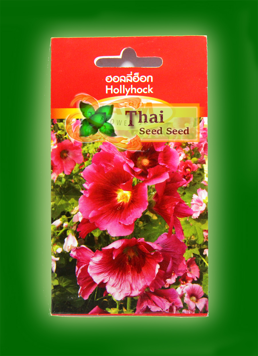 HollyHock