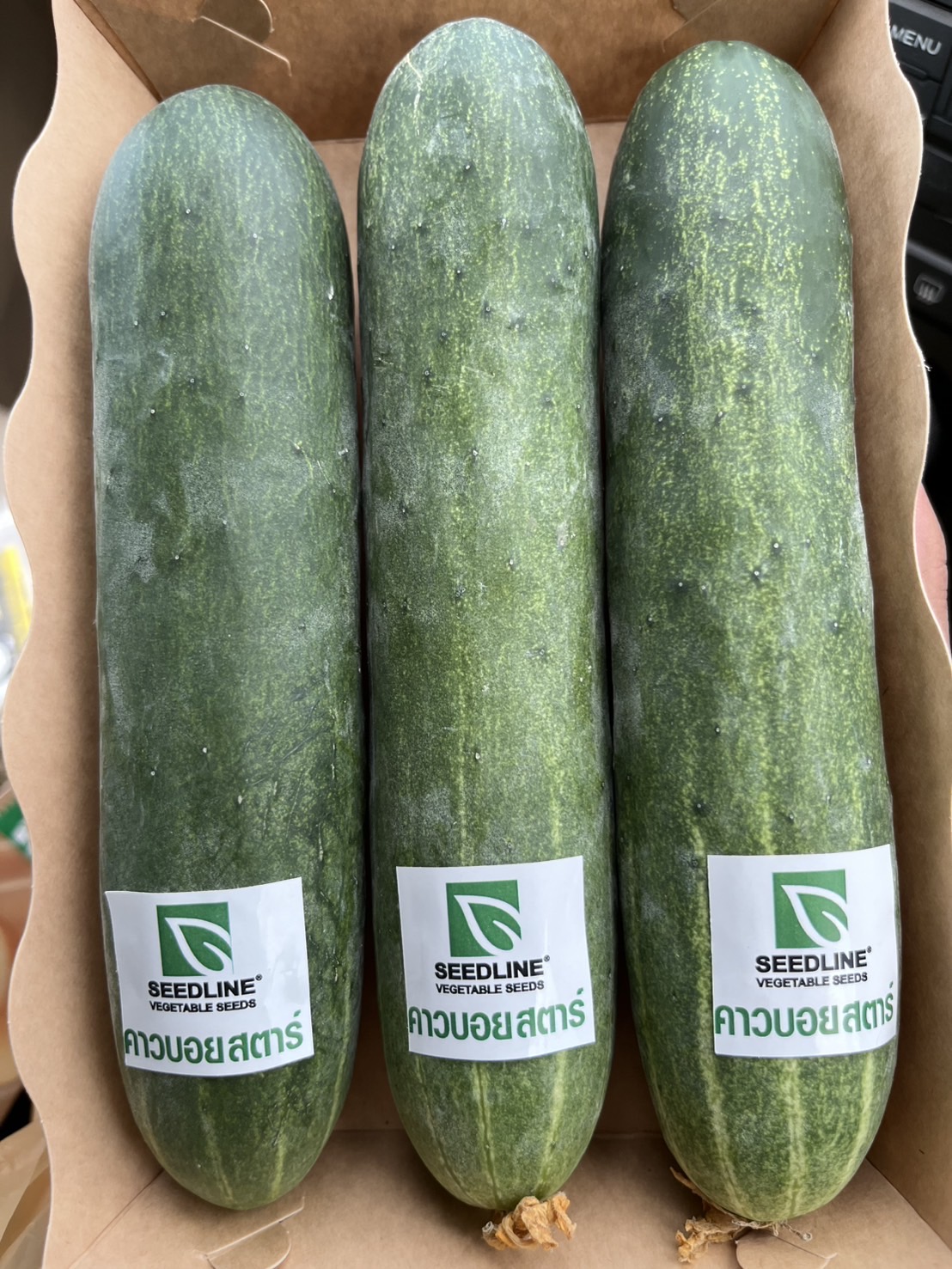 Seed Line(ซีดไลน์) ซอง10กรัม เมล็ดพันธุ์ แตงร้าน คาวบอย ตราซีดไลน์ NOBEL Cucumber