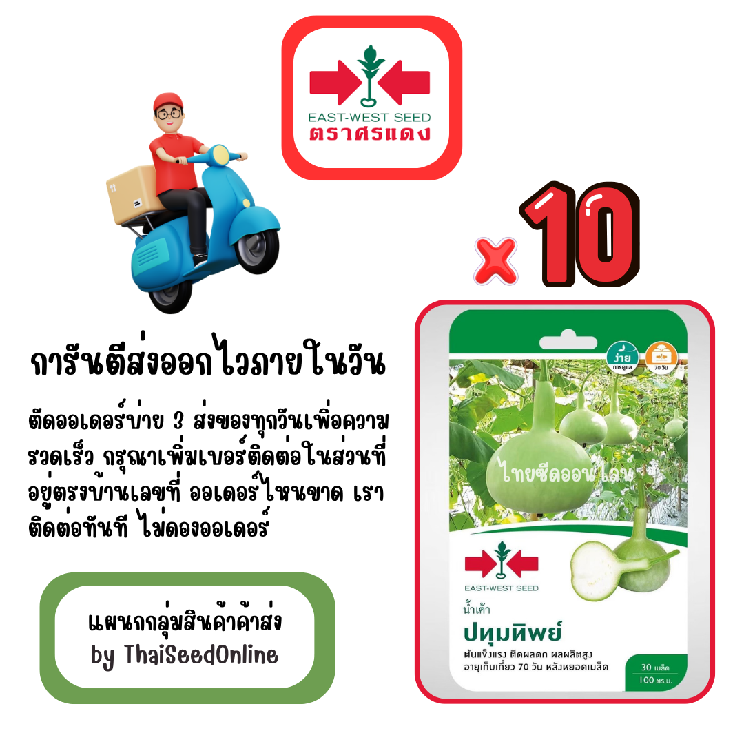 GGx10 เมล็ดผักซองศรแดง ปทุมทิพย์ น้ำเต้า สินค้ายกแพ็ค