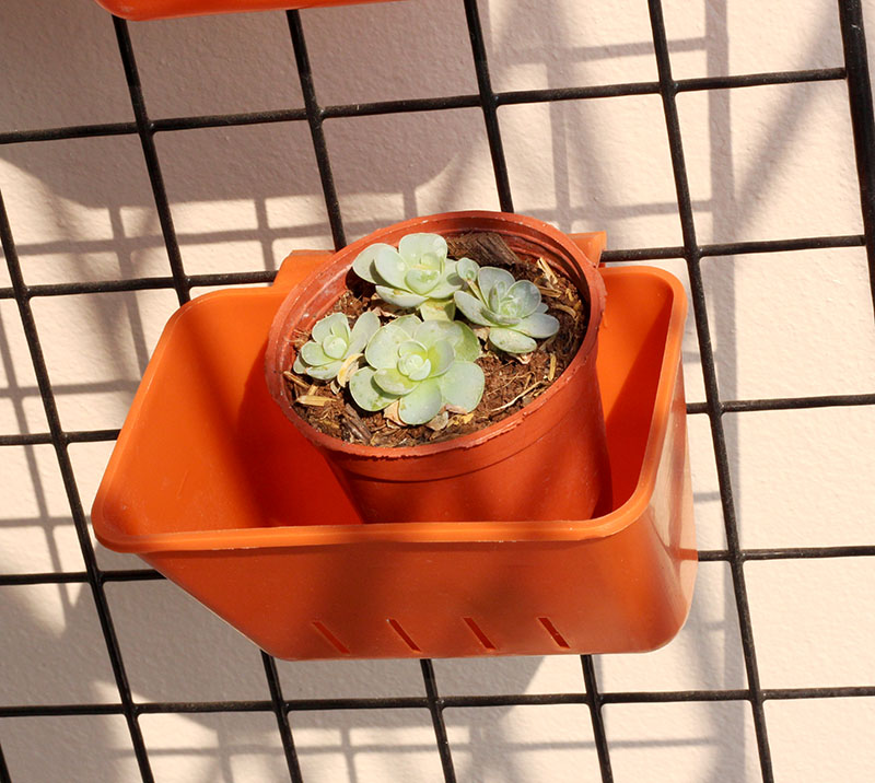 กระถางแขวน สวนแนวตั้ง ขนาดใหญ่ วางตั้งได้