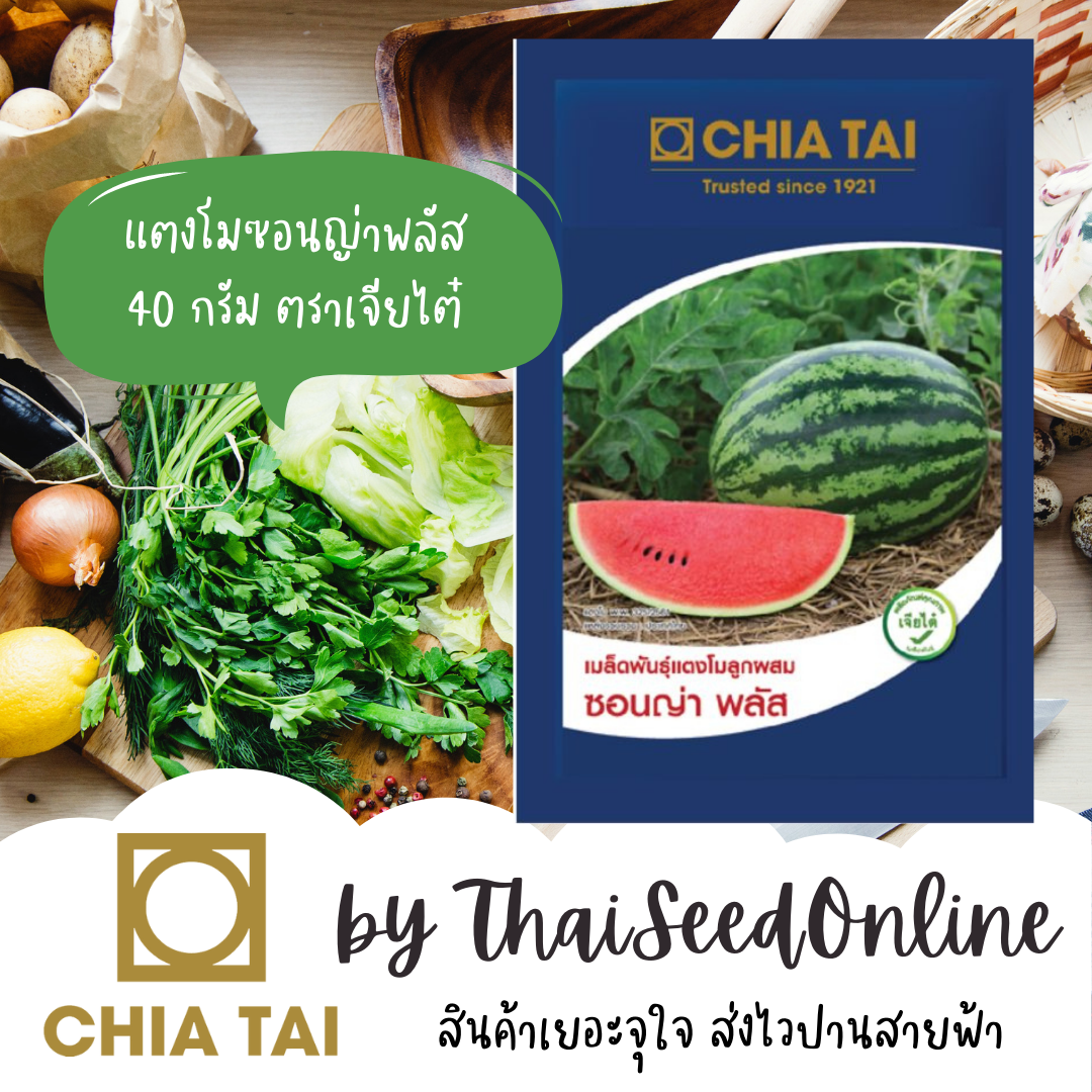 CTCOM 🔥 Exp.4/2026🔥 ซองใหญ่40กรัม เมล็ดพันธุ์ เมล็ดพันธุ์ แตงโม ซอนญ่าพลัส 40 กรัม ตราเจียไต๋