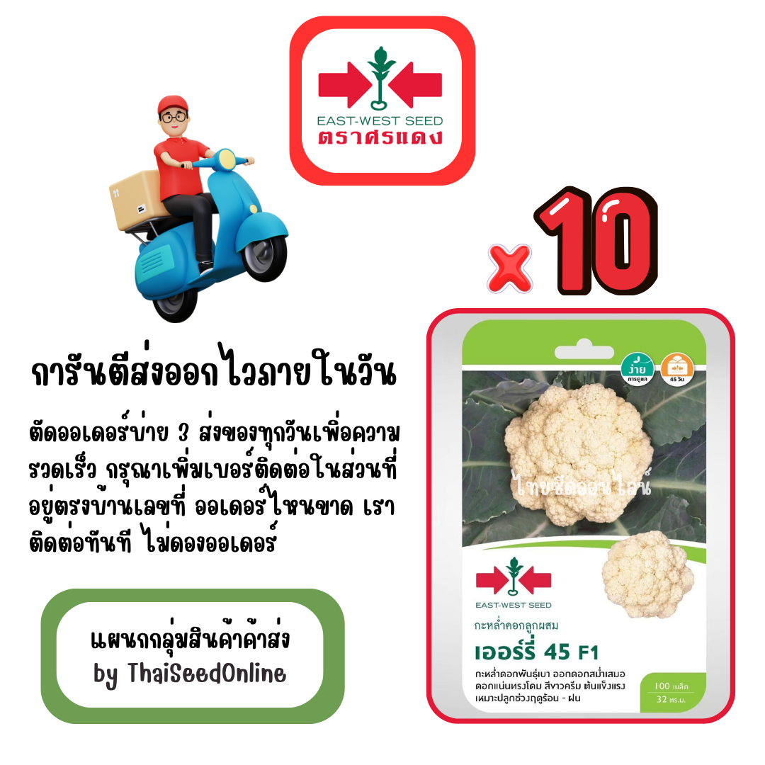 GGx10 เมล็ดผักซองศรแดง เออร์ลี่ 45 กะหล่ำดอก สินค้ายกแพ็ค