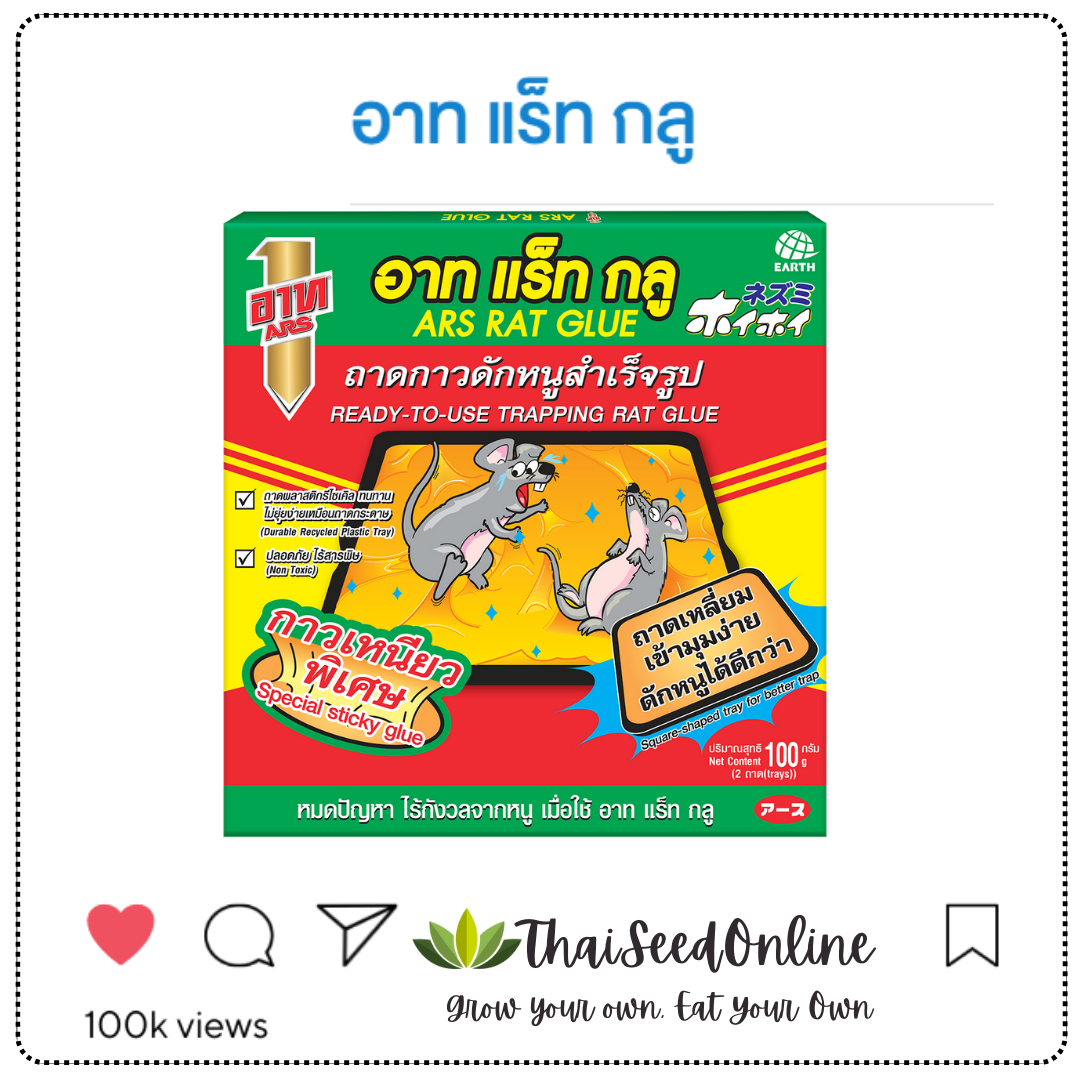 ARS (5กล่องมีแถม)🔥ขายดีฮอตฮิต🔥 อาท แร็ทกลู กาวดักหนู 90 กรัม ยากำจัดหนู