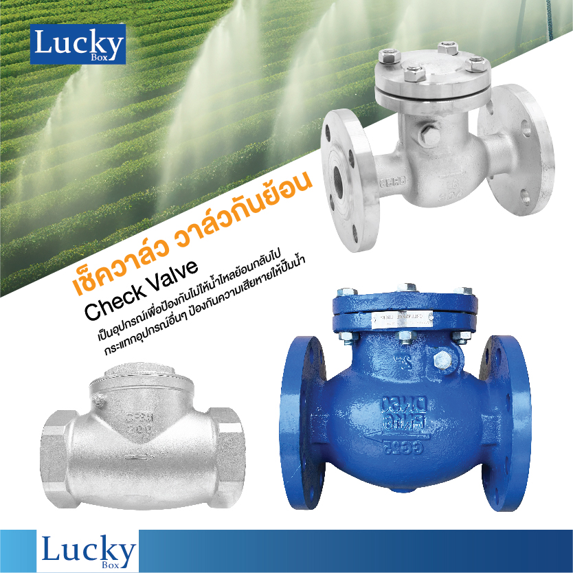 เช็ควาล์ว (Check Valve) เช็ควาล์วสแตนเลส แบบหน้าแปลน ขนาด 3 นิ้ว
