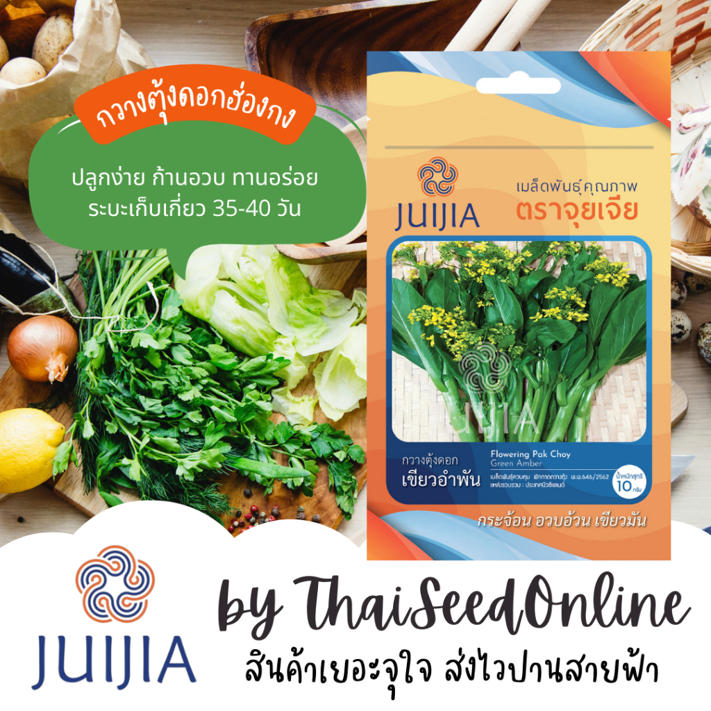 Juijia(จุยเจีย) Juijia(จุยเจีย) JJ เมล็ดพันธุ์ จุยเจีย กวางตุ้งดอกฮ่องกง เขียวอำพัน Pak Choy