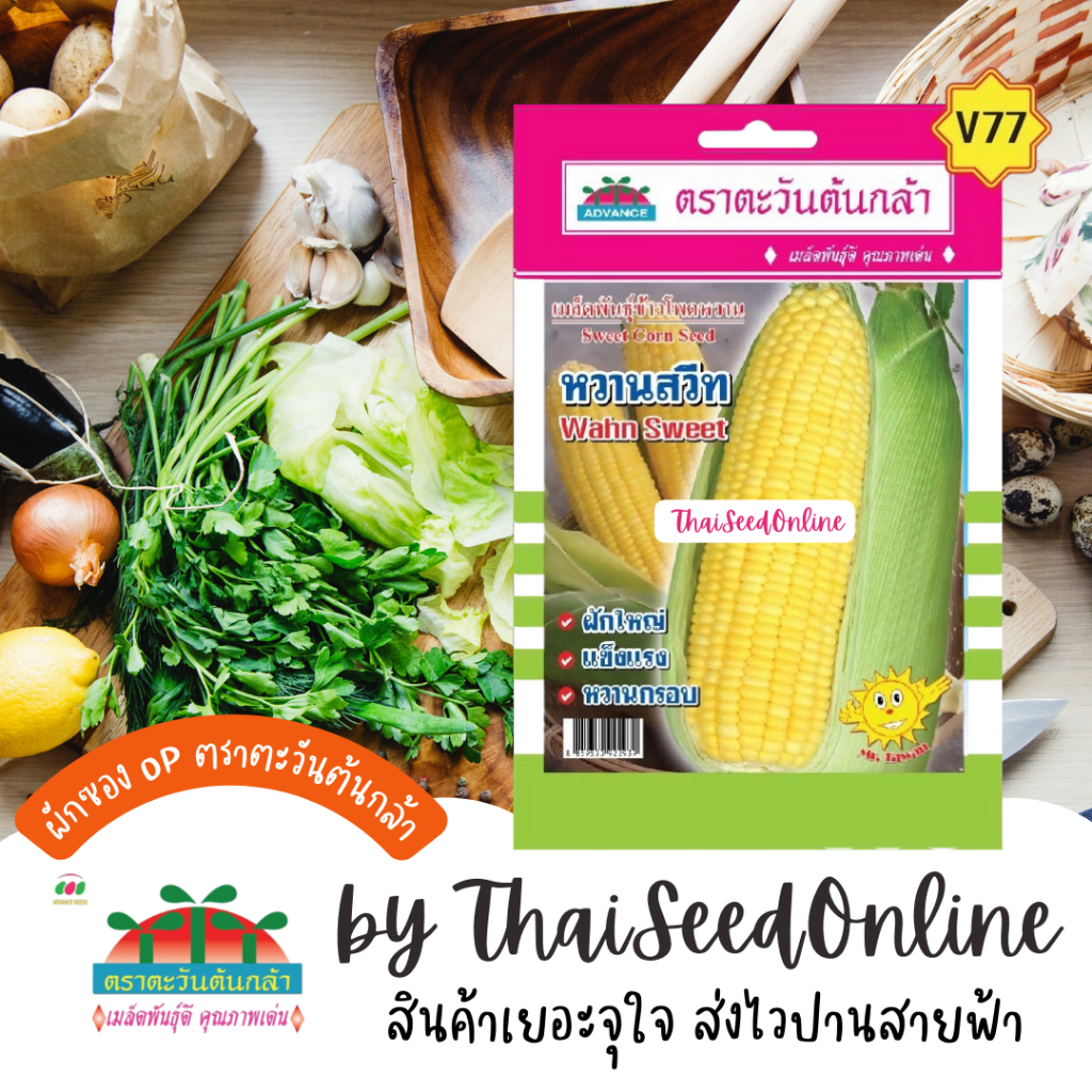 Advance Seeds(ตราตะวันต้นกล้า) ADVOP ซฟ เมล็ดพันธุ์ ข้าวโพดหวานสวีท ประมาณ 100 เมล็ด ตราตะวันต้นกล้า V77 Sweet Corn