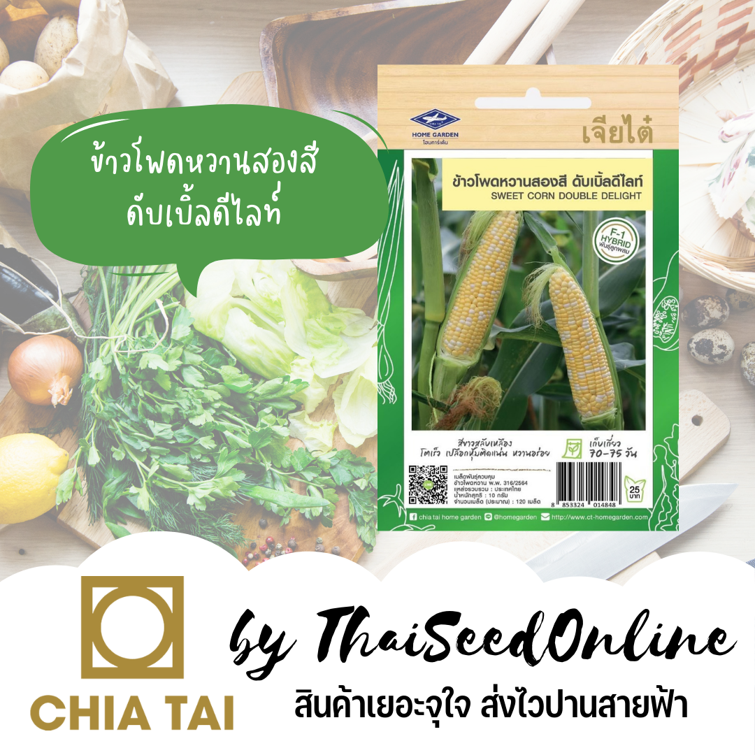 เมล็ดพันธุ์ ข้าวโพดหวาน ข้าวโพดหวานสองสี ดับเบิ้ลดีไลท์ ตราเจียไต๋ Corn