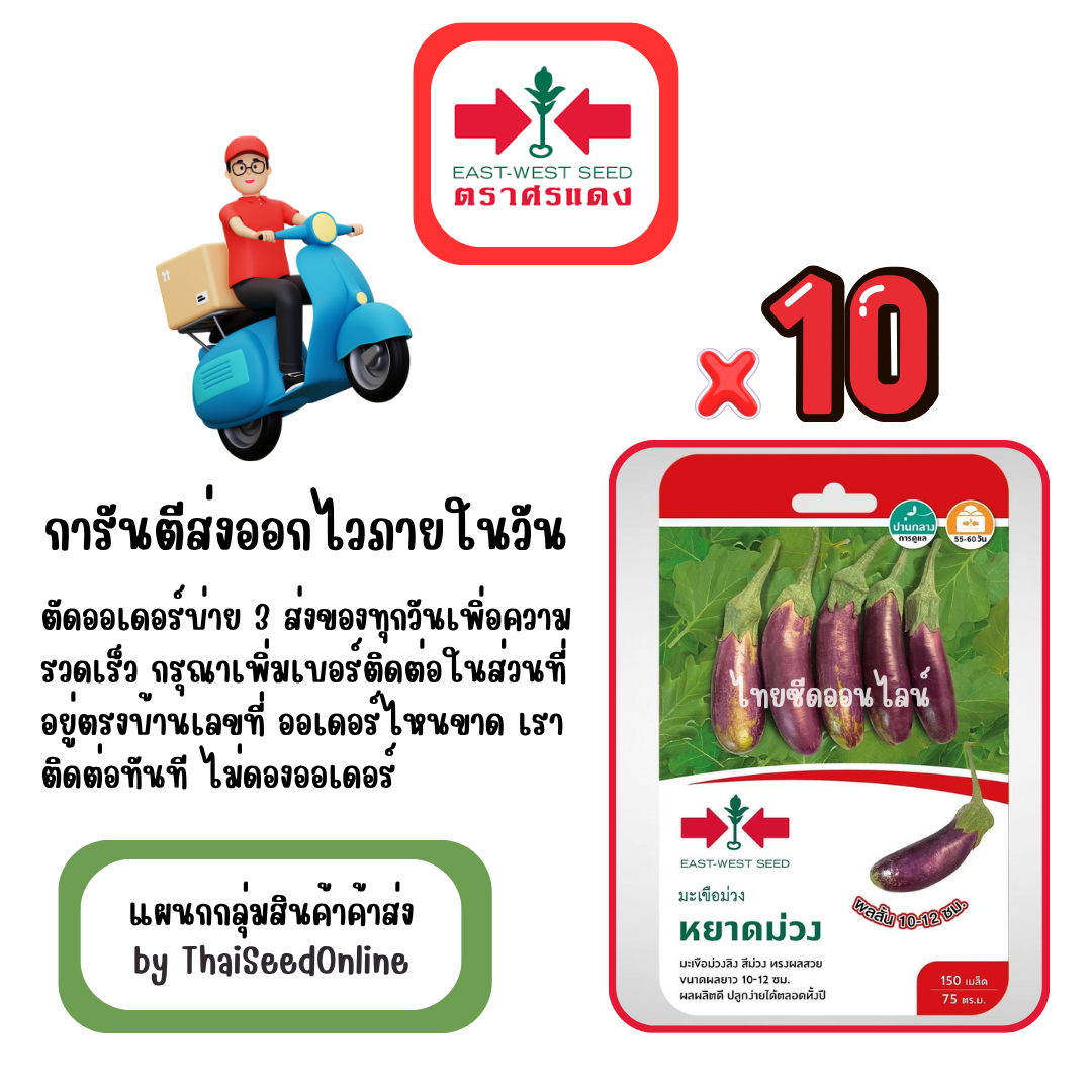 GGx10 เมล็ดผักซองศรแดง หยาดม่วง มะเขือม่วงลิง สินค้ายกแพ็ค