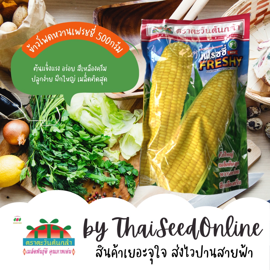 ADV ถุง 500กรัม 🔥ใหม่🔥เมล็ดพันธุ์ข้าวโพดหวาน เฟรชชี่ 500 กรัม ตราตะวันต้นกล้า