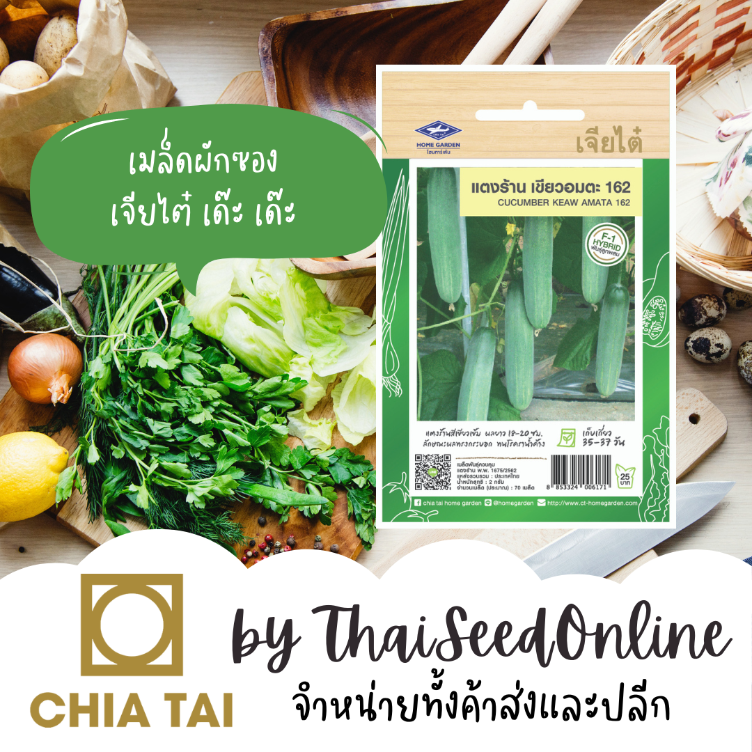 CTF1 เมล็ดพันธุ์ แตงร้านเขียวอมตะ 162 ตราเจียไต๋ Cucumber