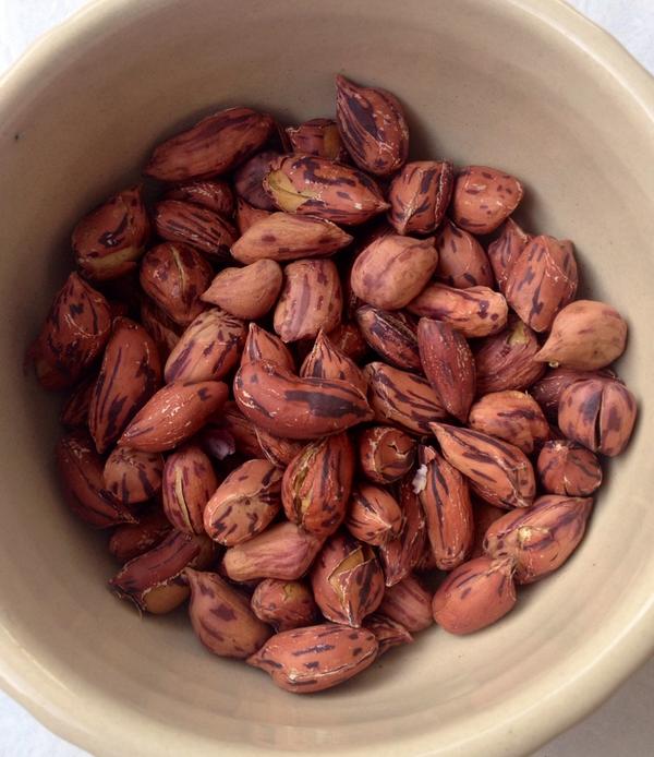 เมล็ดถั่วลิงสง ถั่วลาย ลายเสือ