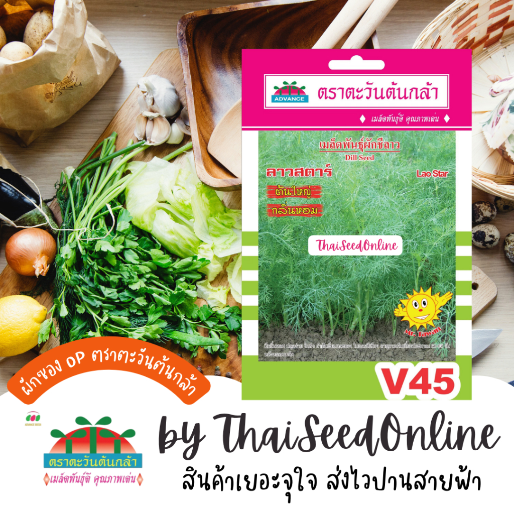 Advance Seeds(ตราตะวันต้นกล้า) ADVOP ซฟ เมล็ดพันธุ์ ผักชีลาว ลาวสตาร์ ตราตะวันต้นกล้า V45