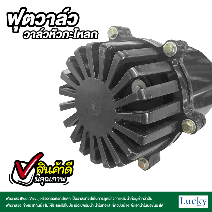 ฟุตวาล์ว (Foot Valve) วาล์วหัวกะโหลก ขนาด 2 นิ้ว