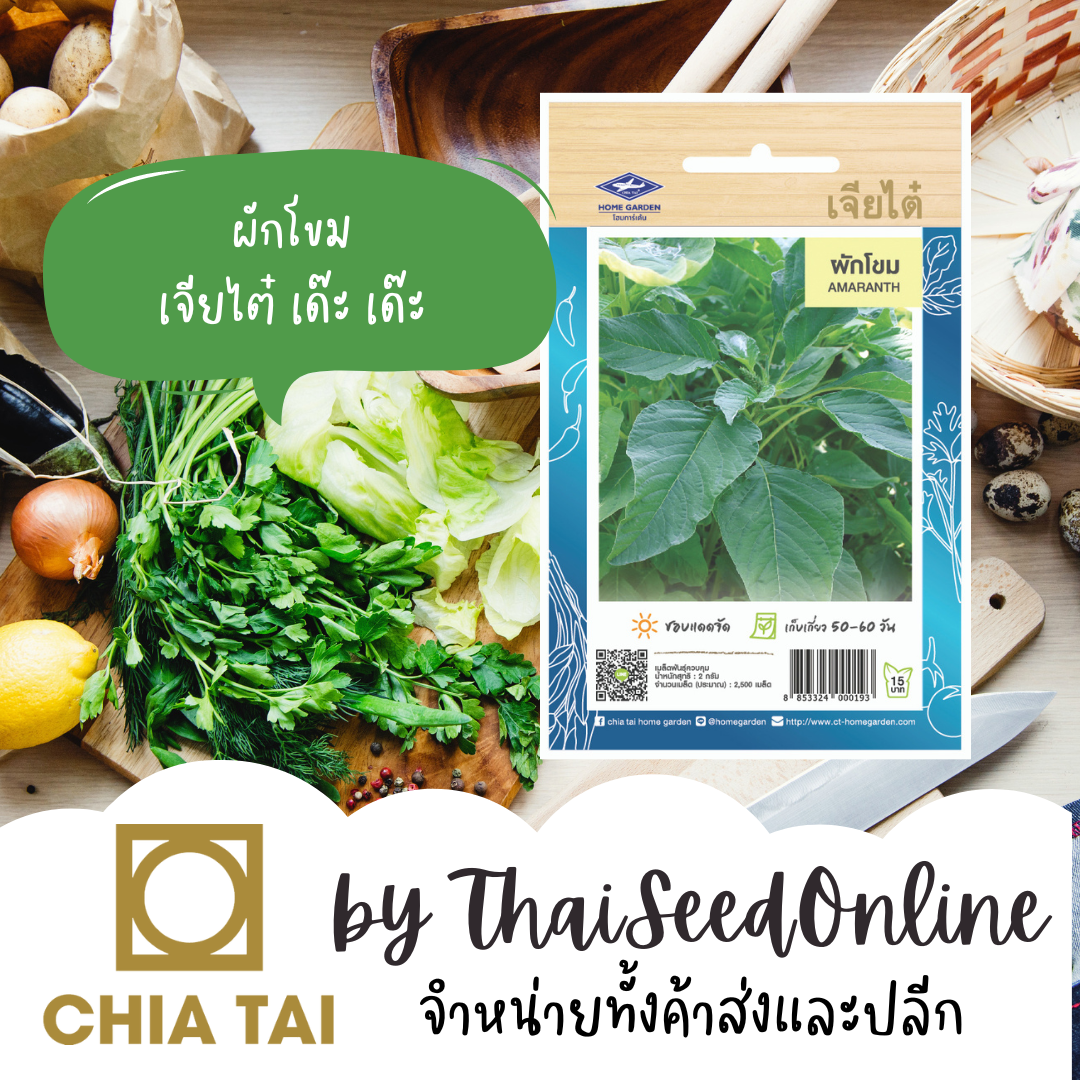 CTOP เมล็ดพันธุ์ ผักโขมเขียว ตราเจียไต๋ Amaranth
