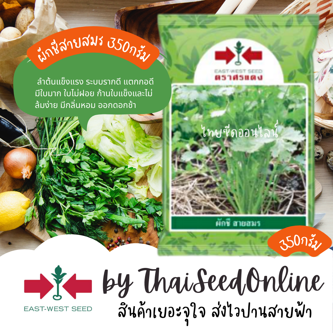 EWCOM เมล็ดพันธุ์ ผักชีสายสมร 350 กรัม ตราศรแดง Coriander