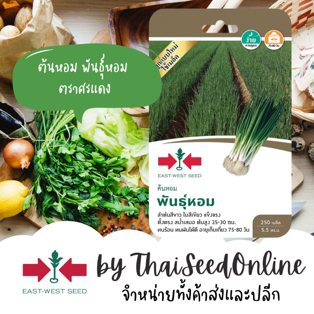 Sorndang(ศรแดง) GGEW เมล็ดพันธุ์ ต้นหอม หอมแบ่ง พันธุ์หอม ตราศรแดง Bunching Onion