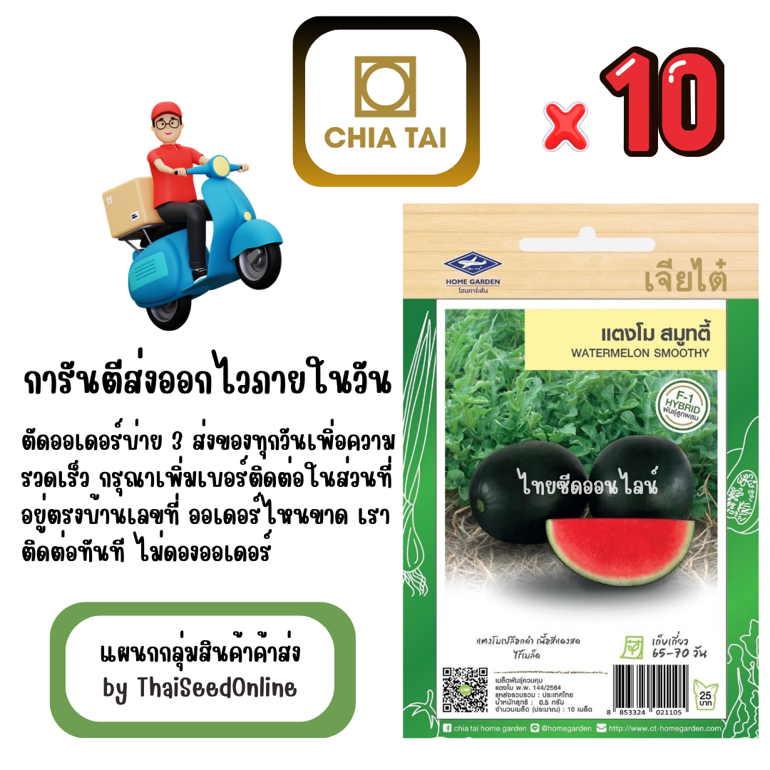 CTF1 x 10 เมล็ดผักซองเจียไต๋ แตงโม ไร้เมล็ด สมูทตี้ สินค้ายกแพ็ค