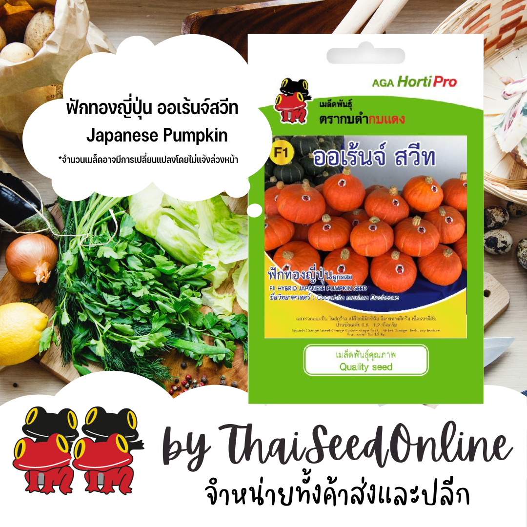 AGA ซฟ เมล็ดพันธุ์ ฟักทองญี่ปุ่น ออเร้นท์ สวีท ตรากบดำกบแดง Japanese Pumpkin
