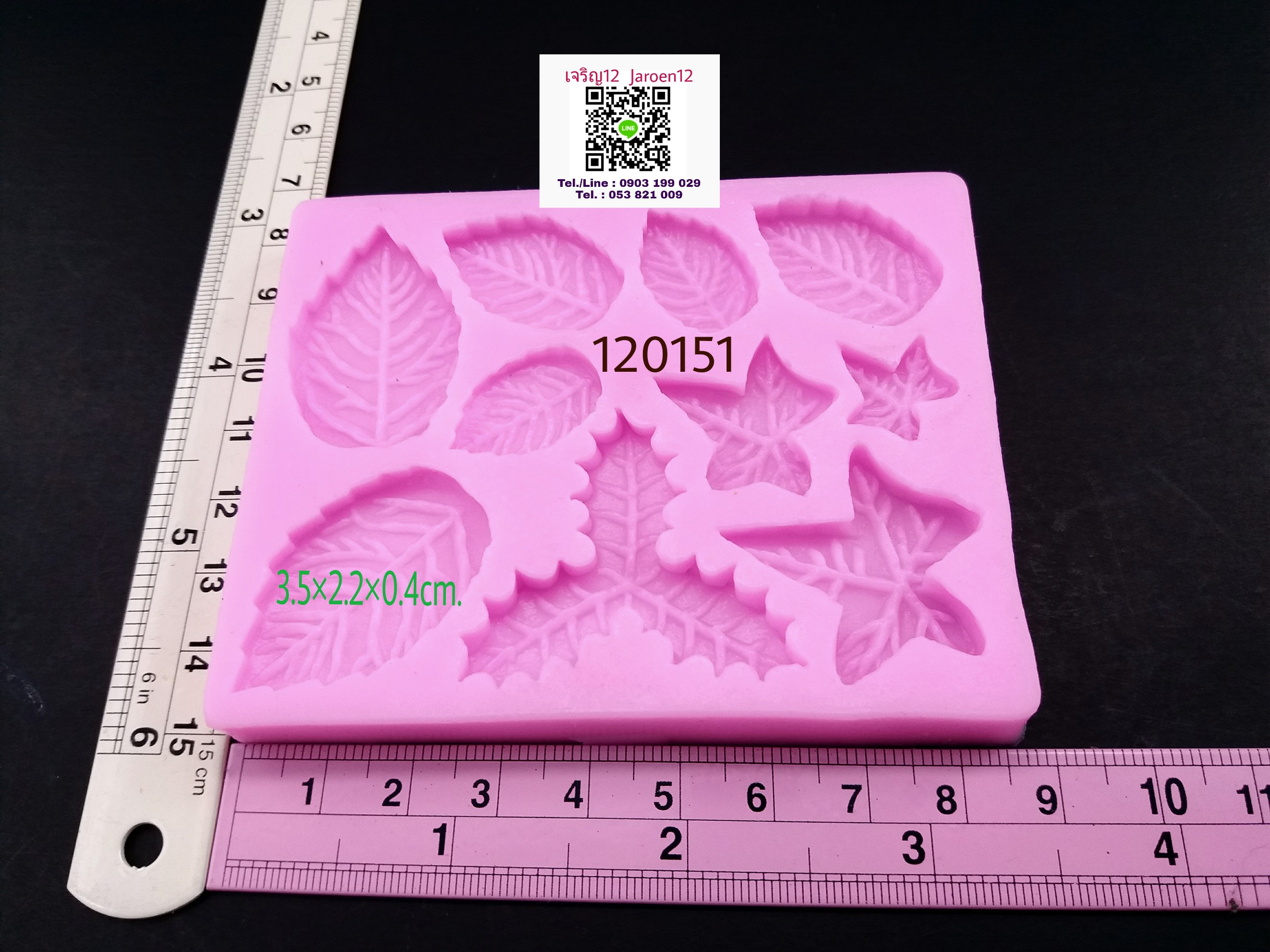 โมล ใบไม้ 3 แบบ