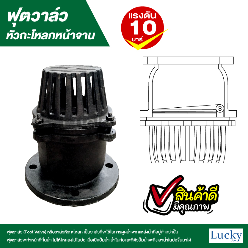 ฟุตวาล์ว (Foot Valve) วาล์วหัวกะโหลก หน้าจาน เหล็กหล่อ ขนาด 4 นิ้ว
