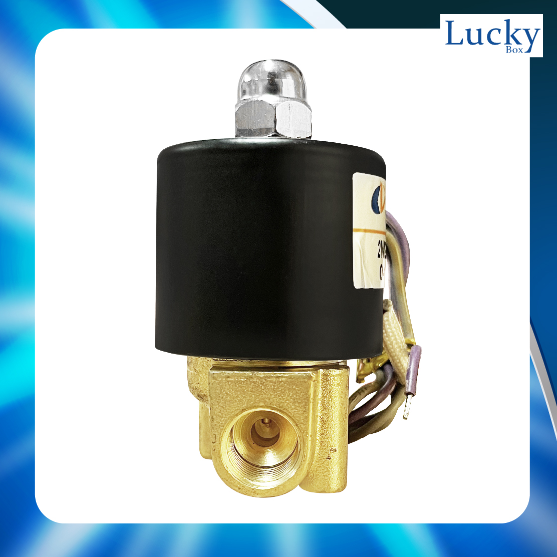 Solenoid Valve โซลินอยด์ทองเหลือง 1/4 นิ้ว (2 หุน) AC24V