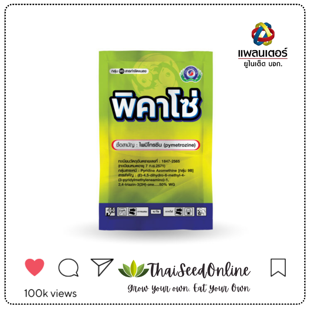 Thepwatana.(เทพวัฒนา ตราปลาคู่) PTU พิคาโซ่ 100กรัม บริษัท แพลนเตอร์ยูไนเต็ด จำกัด / บริษัท เทพวัฒนา จำกัด