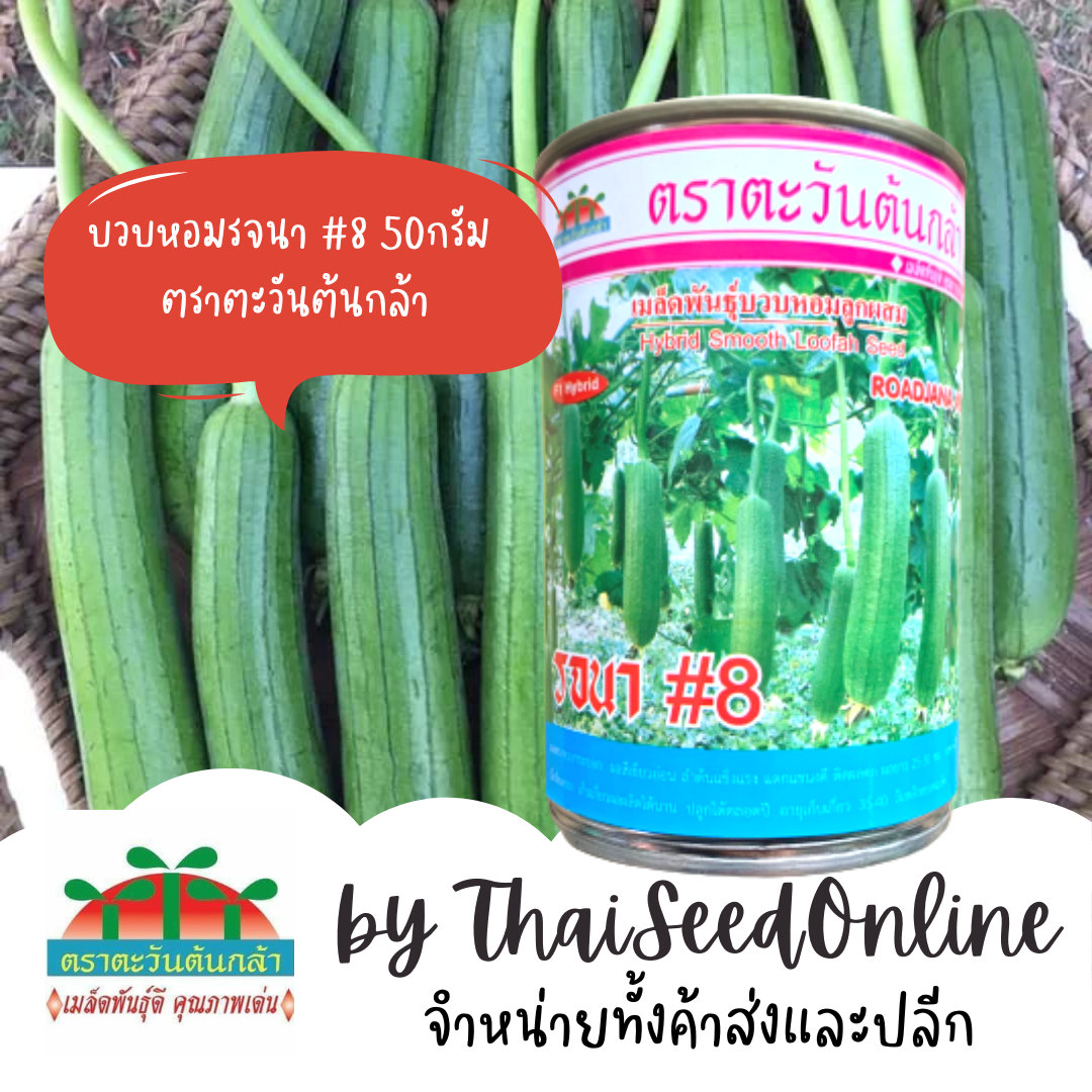 ADV บรรจุ 50กรัม เมล็ดพันธุ์ บวบหอม รจนา#8 ตราตะวันต้นกล้า