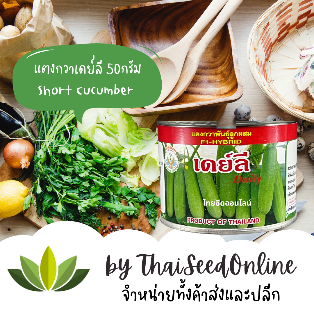 PWS Exp. 8/69 เมล็ดพันธุ์ แตงกวาเดย์ลี มีให้เลือก 2 ขนาด