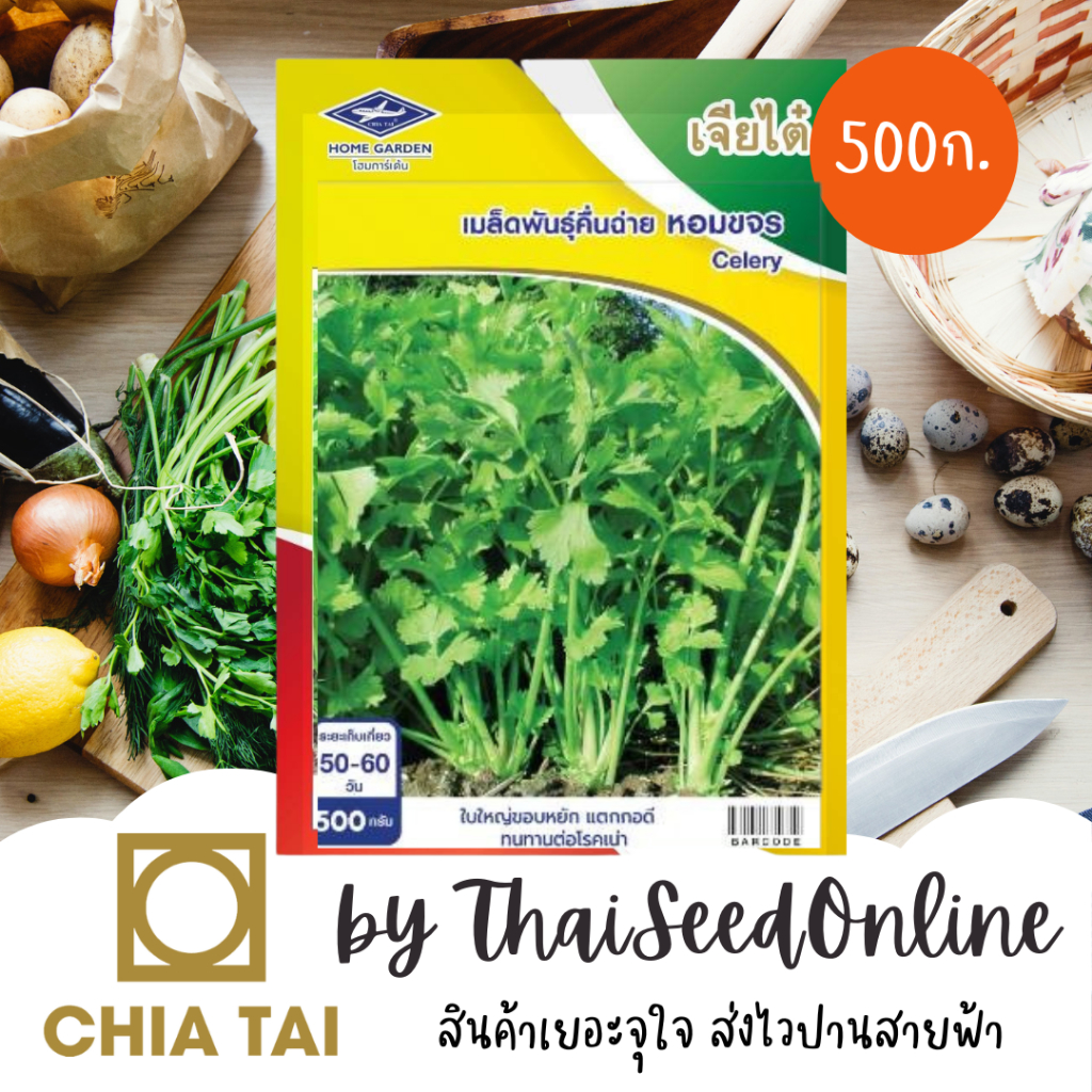 Chia Tai(เจียไต๋) CTCOM ถุง 500 กรัม เมล็ดพันธุ์ คื่นช่าย คึ่นฉ่าย หอมขจร ตราเจียไต๋
