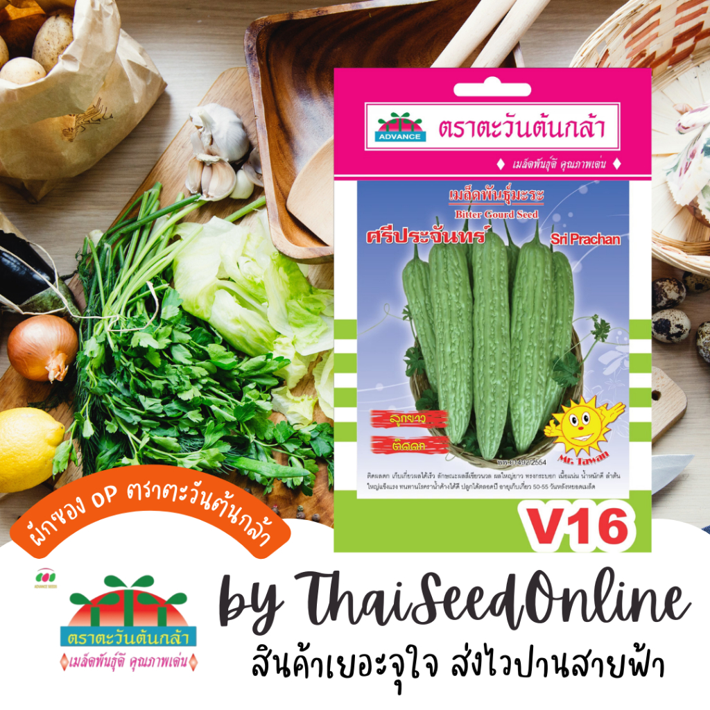Advance Seeds(ตราตะวันต้นกล้า) ADVOP ซฟ เมล็ดพันธุ์ มะระจีน ศรีประจันทร์ ตราตะวันต้นกล้า V16