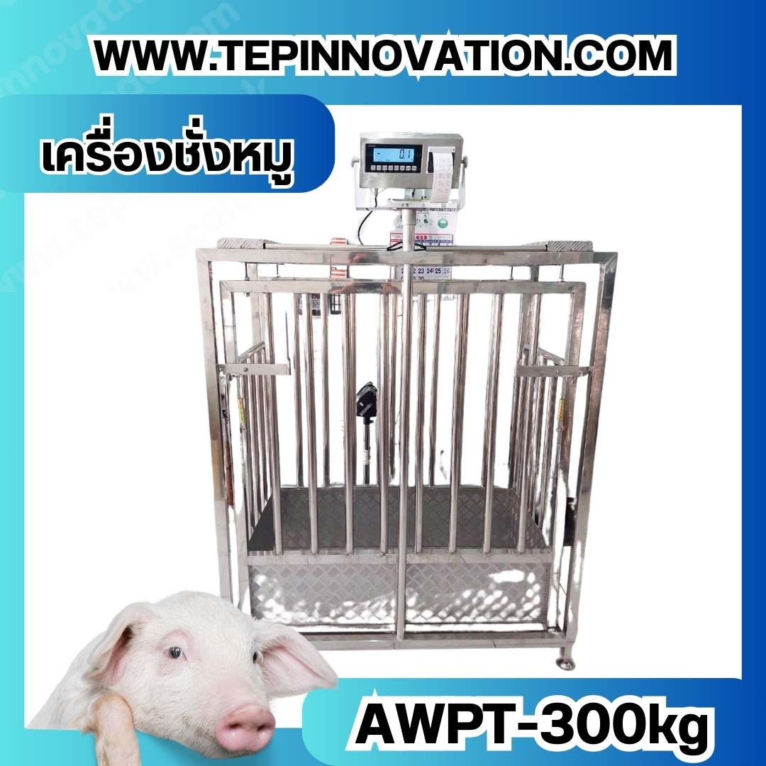 เครื่องชั่งหมูแบบมีกรง เครื่องชั่งน้ำหนักหมู กรงชั่งหมูสแตนเลส เครื่องชั่งกรงสัตว์ ชั่งน้ำหนักได้ 300 kg ค่าละเอียด 500g เครื่องชั่งยี่ห้อ AWENUE รุ่น AWPT (เครื่องชั่งผ่านตรวจจากสำนักชั่งตวงวัด)