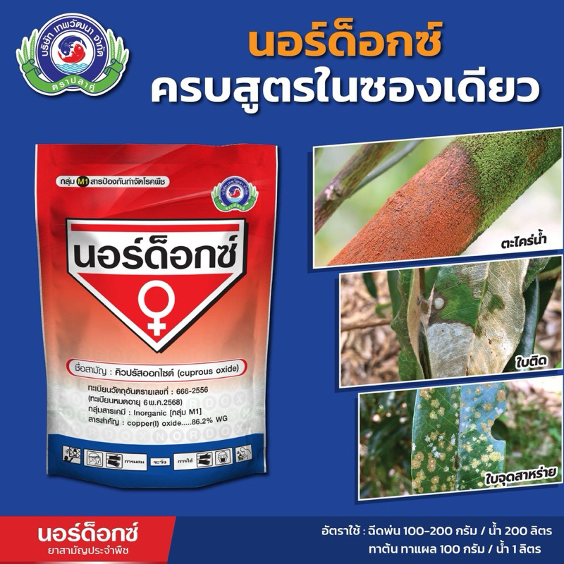 บริษัทเทพวัฒนาจำกัด ยกลัง เทพวัฒนา นอร์ด็อกซ์ 1 กก x 12 ถุง
