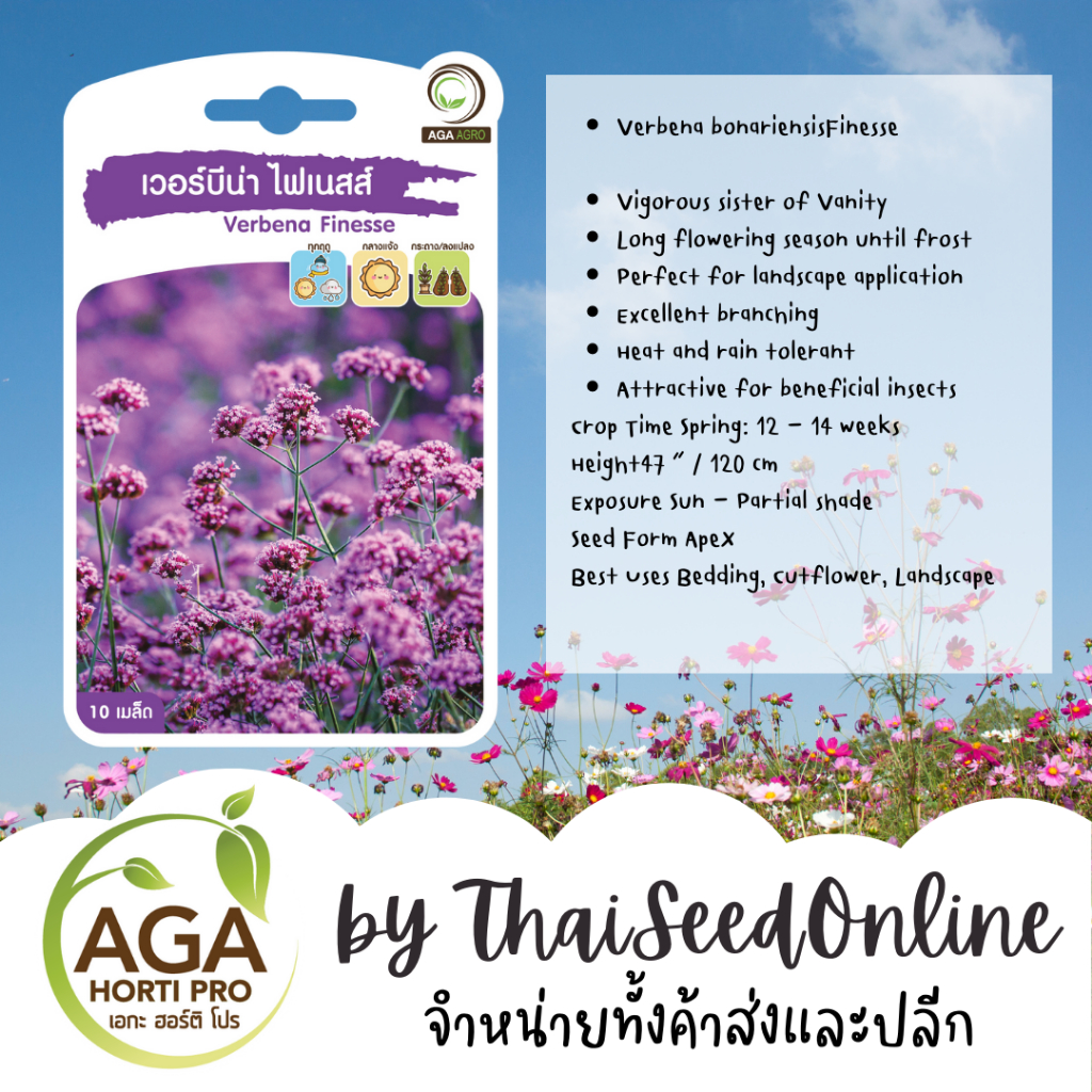 AGA Agro(เอกะ อะโกร) AGAPREMIUM เวอร์บิน่า ไฟเนสส์ 10เมล็ด ตราเอกะอะโกร Verbena