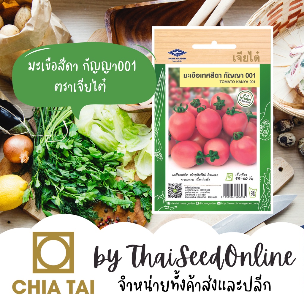 CTF1 เมล็ดพันธุ์ เมล็ดมะเขือเทศสีดา กัญญา 001 250เมล็ด (TOMATO KANYA 001) ตราเจียไต๋