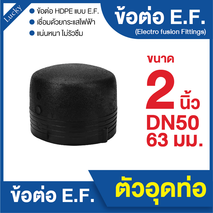 ข้อต่อ E.F. ตัวอุดปลายท่อ ขนาด 2 นิ้ว ข้อต่อ Electrofusion ข้อต่อท่อ HDPE