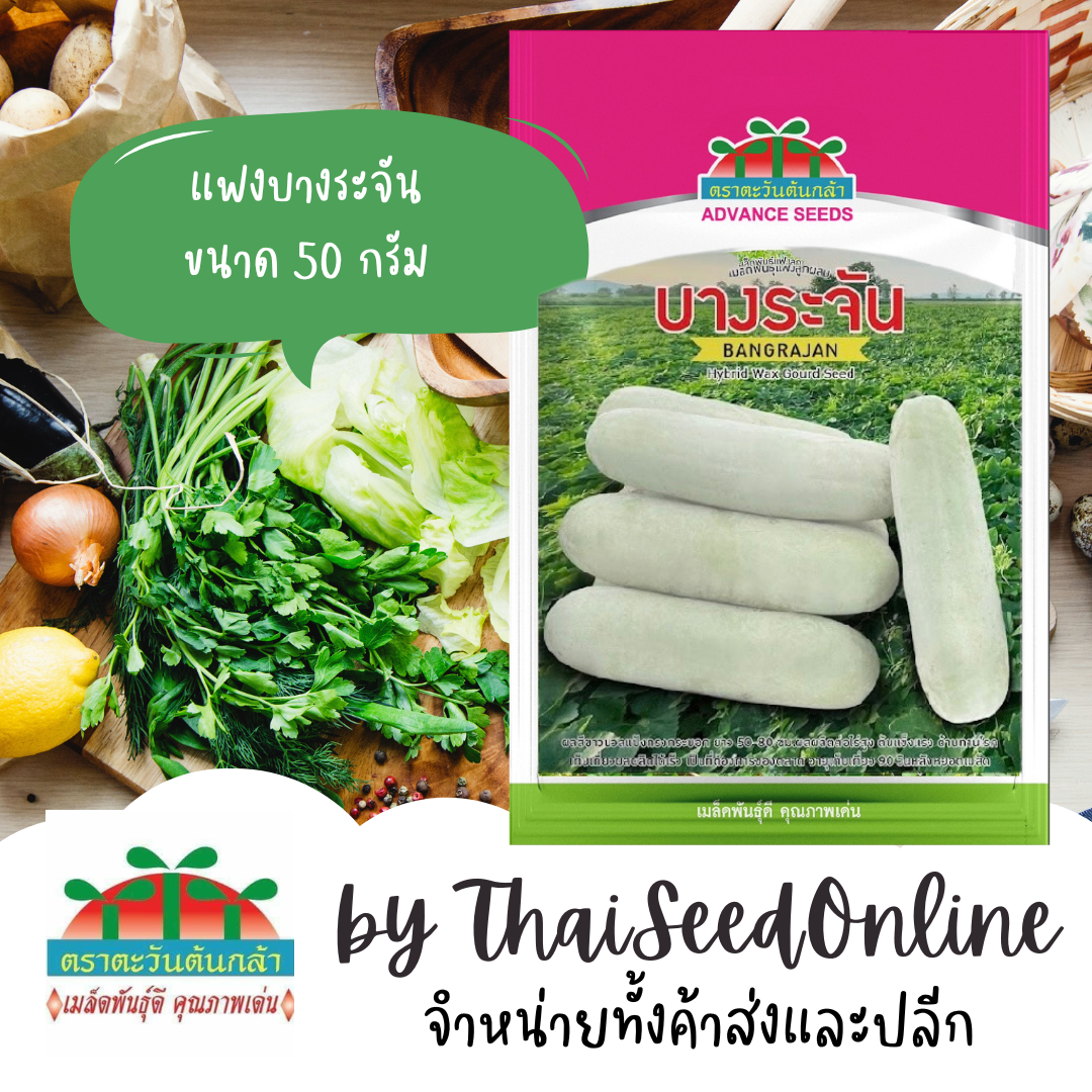 Advance Seeds(ตราตะวันต้นกล้า) ADVCOM แฟงงาช้าง แฟงบางระจัน 100กรัม ตราตะวันต้นกล้า Bangrajan Wax Gourd