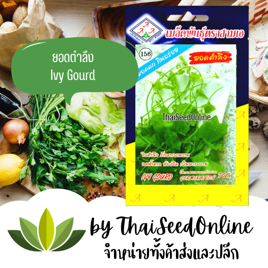 3A(สามเอ) 3A เมล็ดพันธุ์ ตำลึง ตราสามเอ Ivy Gourd